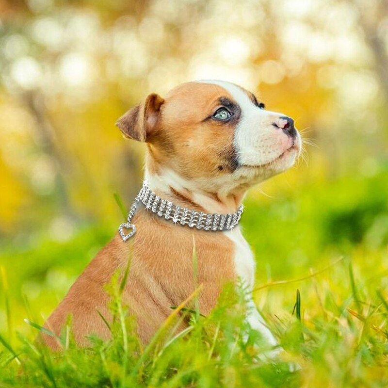 Collier de chien petits chiens Bling Faux strass collier pour animaux de compagnie chiot coeur pendentif collier chiot animal de compagnie chien cou décoration