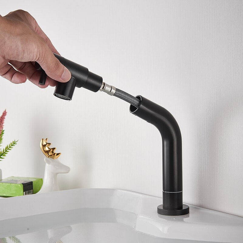 Wastafelkraan uittrekbaar zwart / geborsteld alleen koud water terrasinstallatie enkel gat enkele hendel badkamer keuken