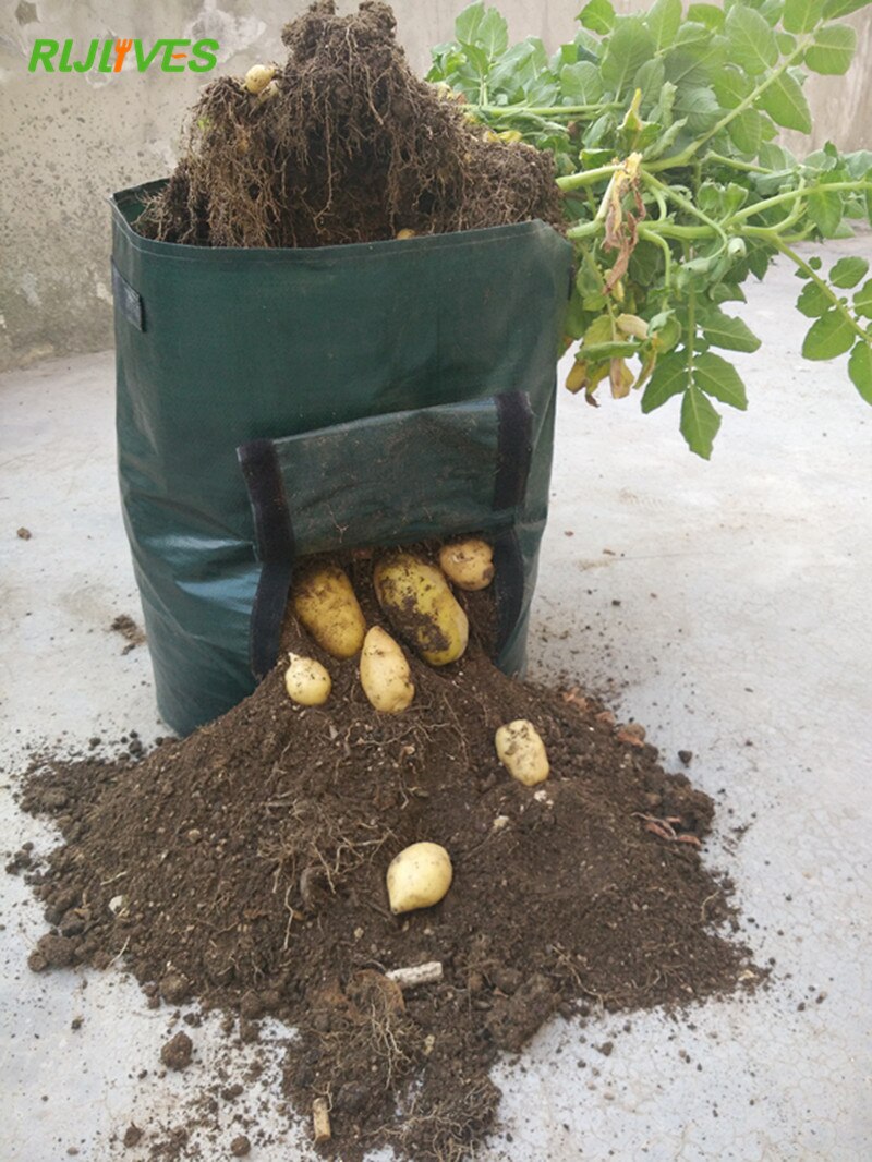 Wasserdichte Gemüse-Anzuchttasche Aus PE – Mit Werkzeugtasche, Für Balkon & Garten
