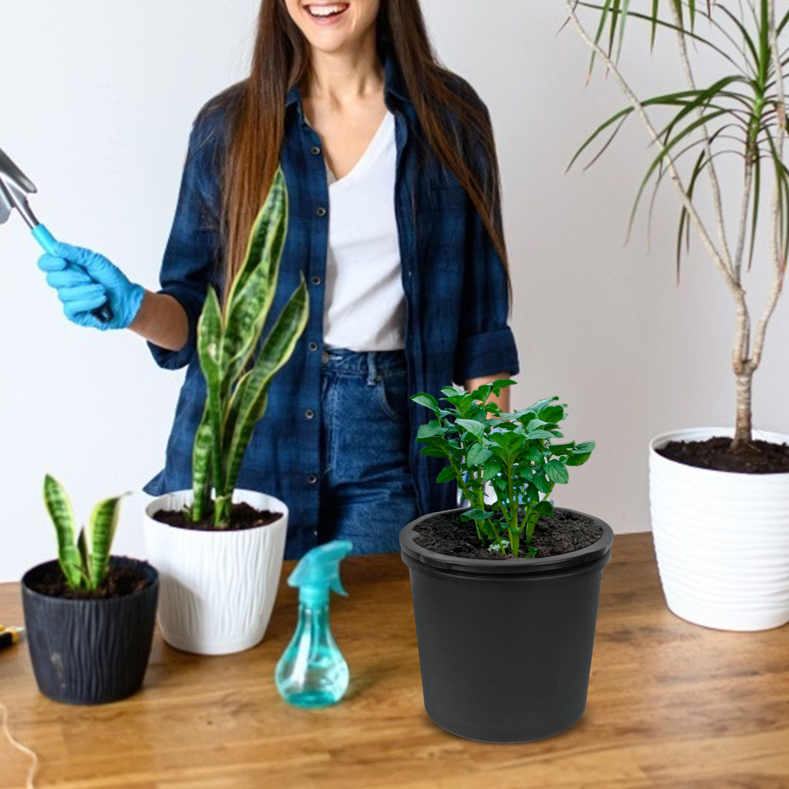 Aardappel Groeien Emmer Praktische Aardappel Groeiende Pot Aardappel Planten Doos