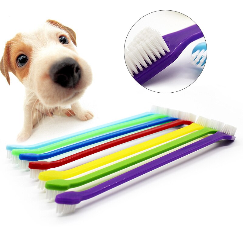 1Pcs Pet Tandenborstel Grooming Double End Tandenborstel Voor Pet Hond Kat Kleine Huisdieren Plastic Handvat Nylon Haar Willekeurige kleuren