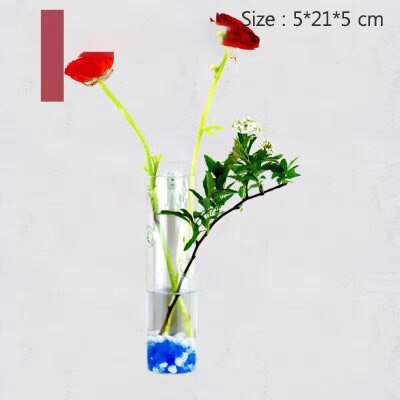 Europese glazen hydrocultuur wandbloemvaas, groene planten, wanddecoratie, aquarium, knutselen, scandinavische bloempot: 018