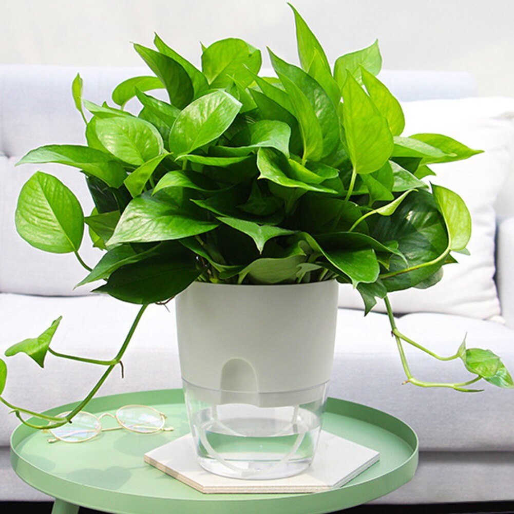 2 schicht Kreative Praktische transparent Blumentopf Selbst Bewässerung Anlage Container Wasser Panzer Sukkulenten Pflanzen drinnen Hause Dekor