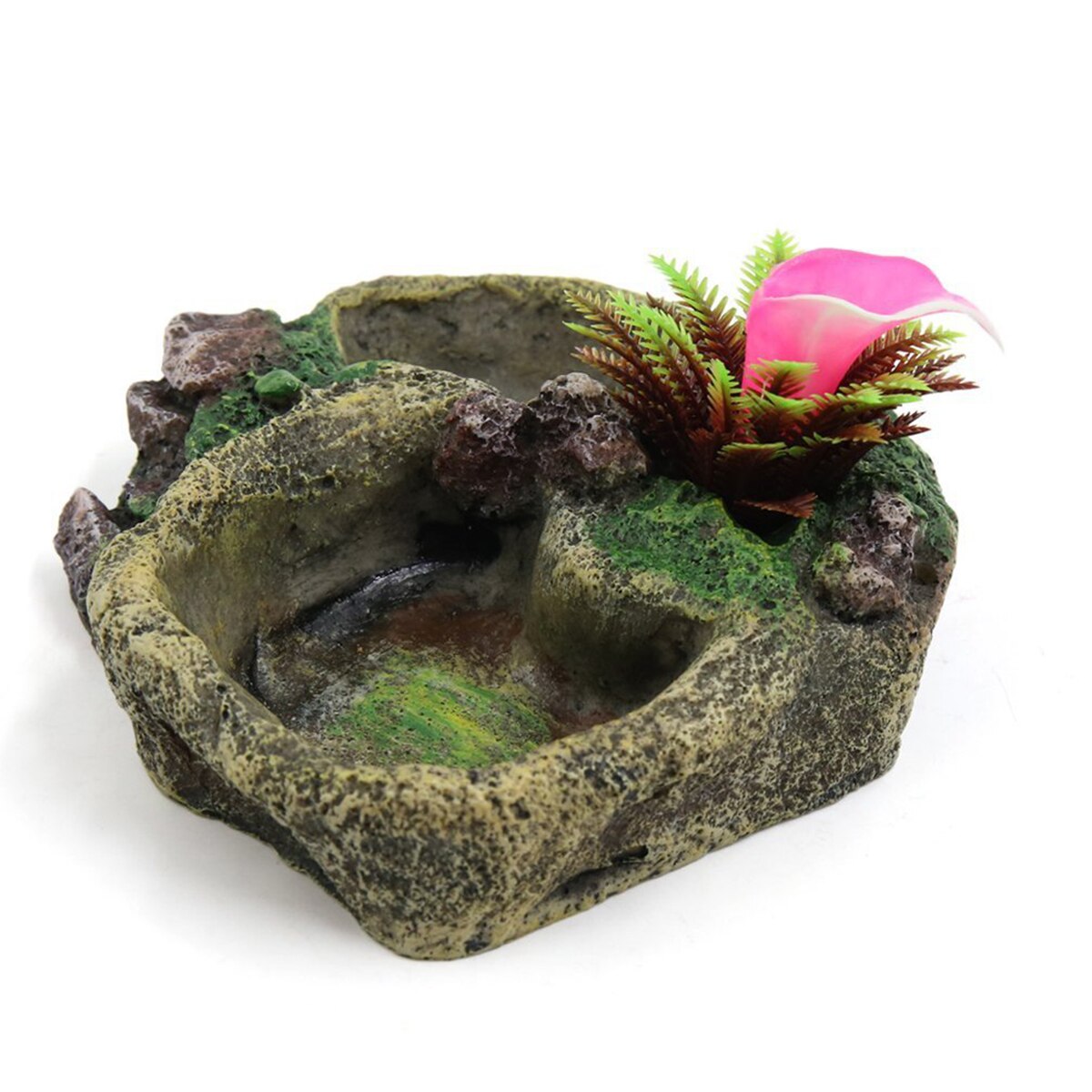 Reptile Water Dish Food Bowl Resin Feeder Bowl for Tortoise Lizard Plant Decorative Resin Bowl Food Water Dish Feeder