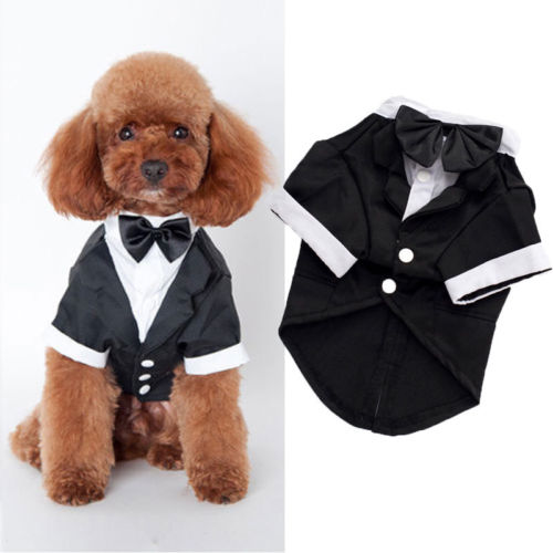 Smuk solid sød kæledyr hund kat tøj prins bryllup jakkesæt smoking bow tie hvalp tøj frakke