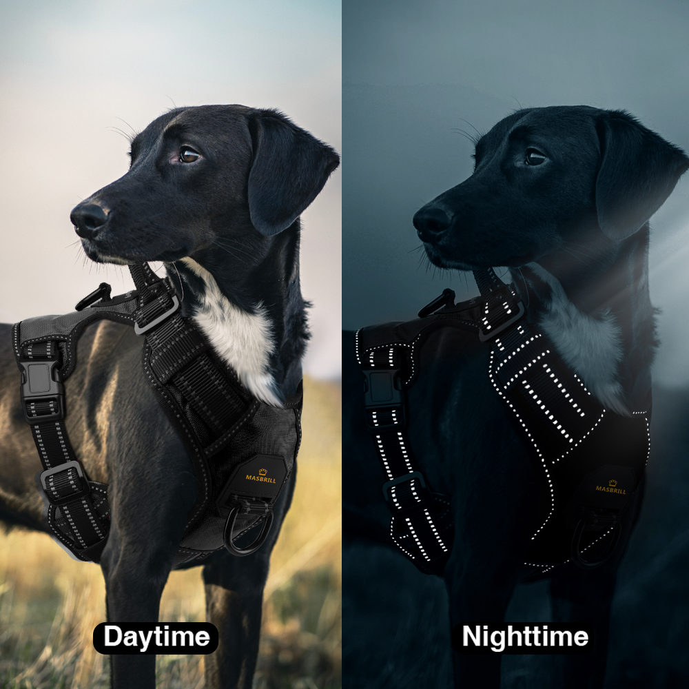 MASBRILL Hund nutzbar machen Keine ziehen Atmungs Reflektierende Haustier nutzbar machen Weste Für Kleine Große Hund Laufen draussen Hunde Ausbildung Zubehör