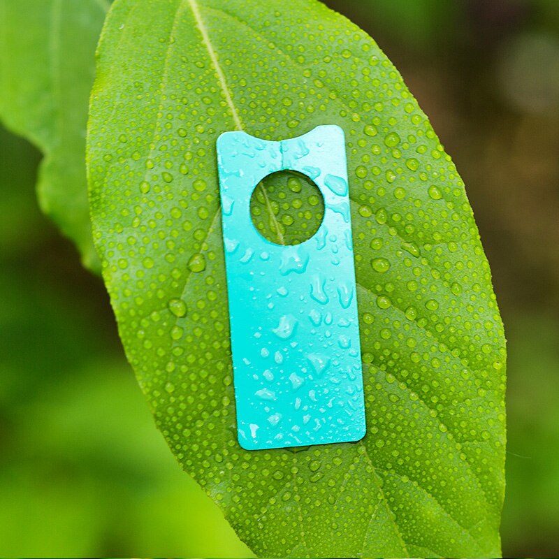 100Pcs Plant Tags Tuin Kwekerij Label Opknoping Boom Markers Zaailing Plant Fruit Bomen Borden Prompt Card Indeling Tool