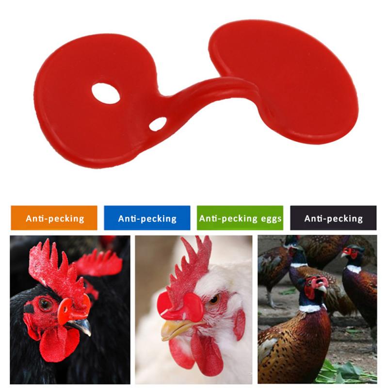 Gafas antipectorales para gallinas y faisán, equipo de cría de pollos, gafas para el pene, para Cocina y jardín, 20 Uds.