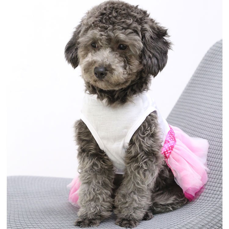 Dog Clothes Dresses for Small Dogs Dress Sweety Princess Dress For All Seasons Puppy Lace Princess Apparel Small Little Dog