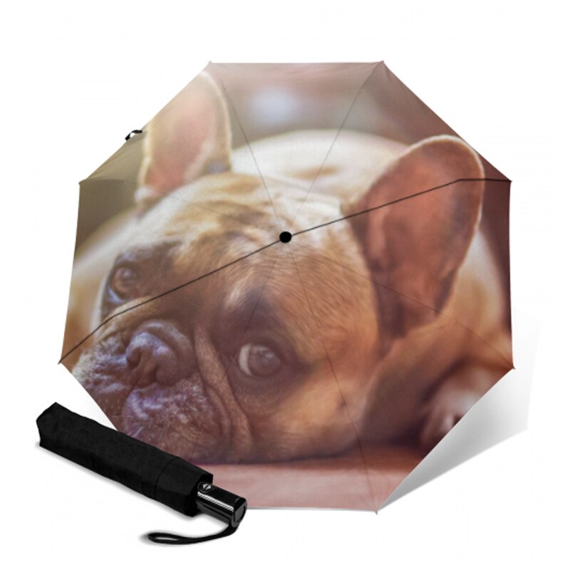 Sød fransk bulldog paraply anti-uv beskyttelse paraply trykt 3 foldende solrige regnfulde paraplyer til kvinder bærbar parasol: Ysa 1031