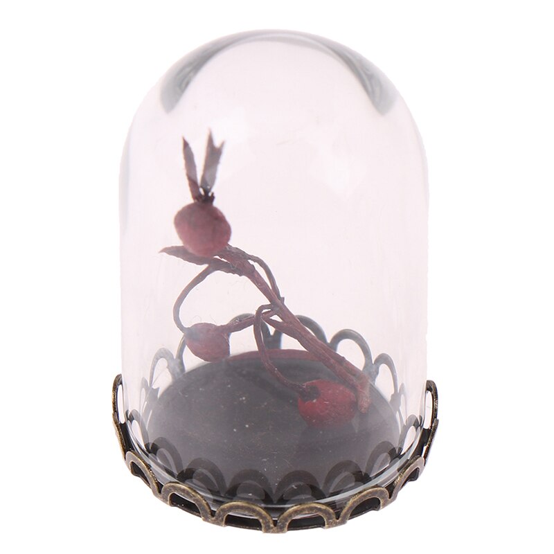 Glas Dome Display Hout Kurk Bell Jar Cover Display Met Houten Base Hoogte 3Cm Tafel Decoation Craft