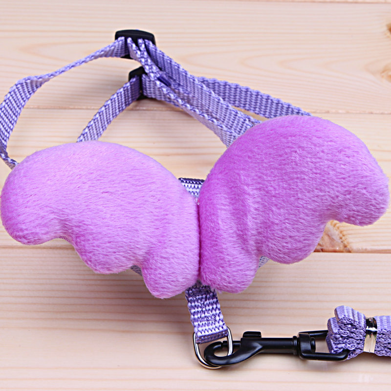 Laisse pour animaux de compagnie, petit ange, sangle de poitrine, ailes, ensemble de harnais pour chien, chat, lait, petit chien, corde pour Mini chien, chiot, fournitures