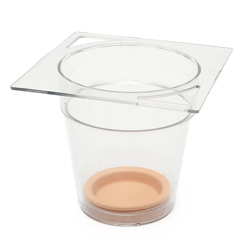 Maceta transparente de 5 pulgadas para auto riego maceta para pecera doméstica acuario