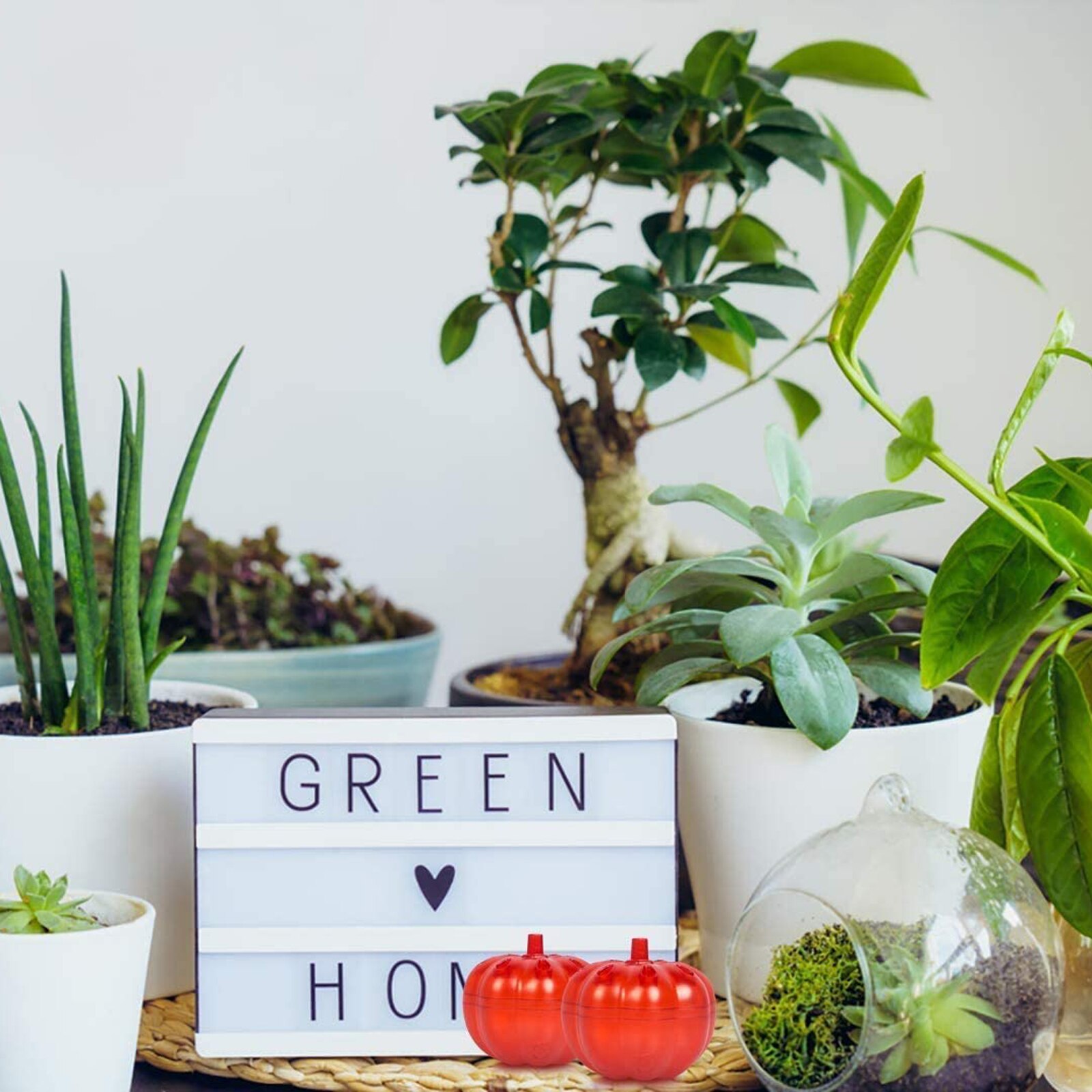 2pcs Fruit Fly Trap For Kitchens Safe Non-toxic Fly Killer Indoor Fly Trap Pumpkin Shape Reusable Silicone Kitchen Tool