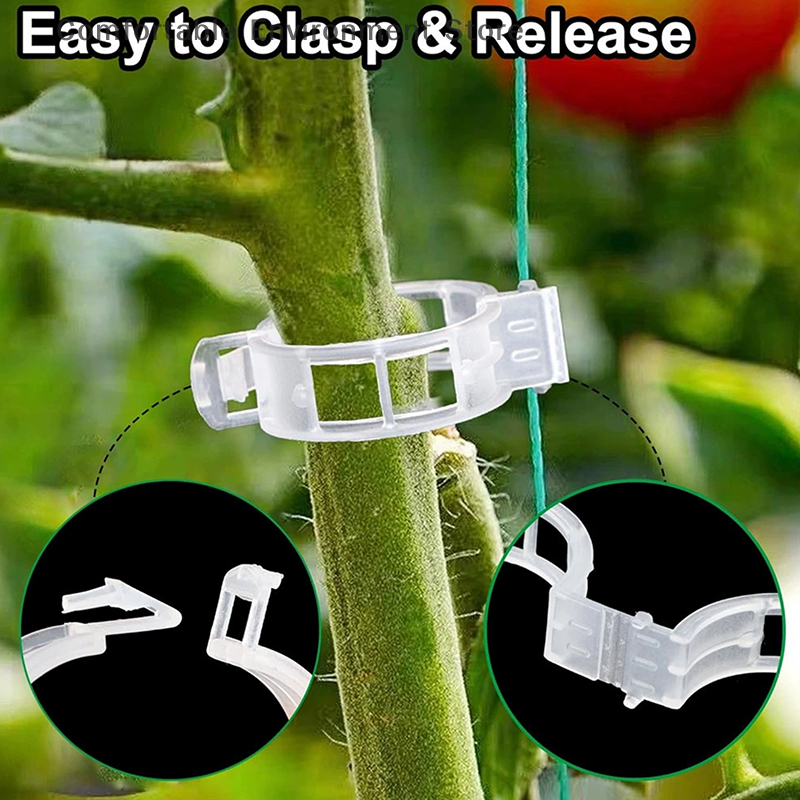 Novidades ~ 100 peças de braçadeiras para plantas, braçadeiras de plástico para plantas trepadeiras, braçadeiras de suporte para plantas reutilizáveis