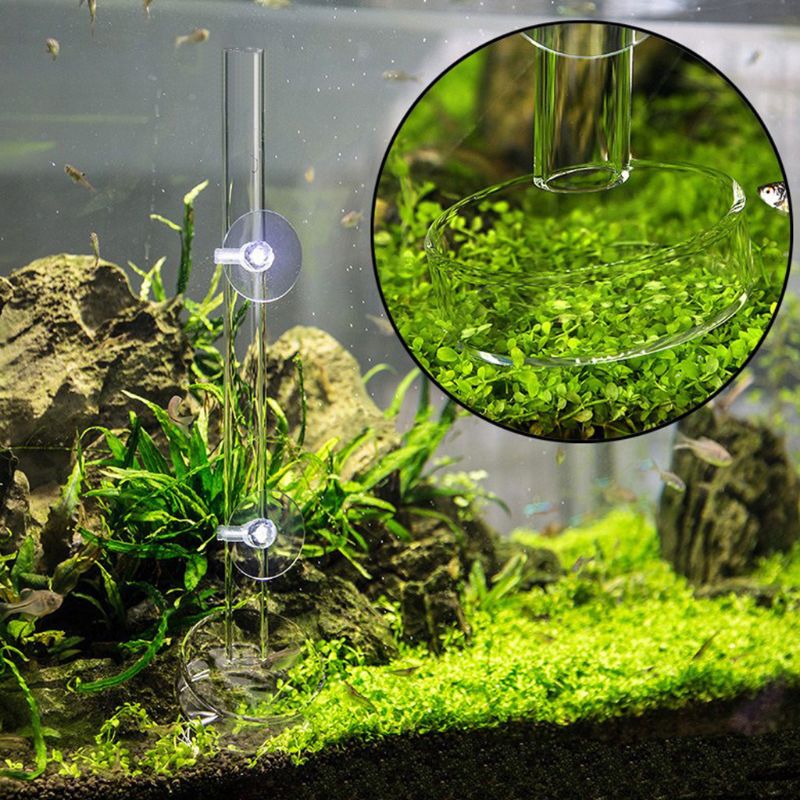 D08D Acrylic Shrimp Feeding Dish Tray Fish Food Feeder Aquarium Fish Tank Feeding Tube Background Decoration