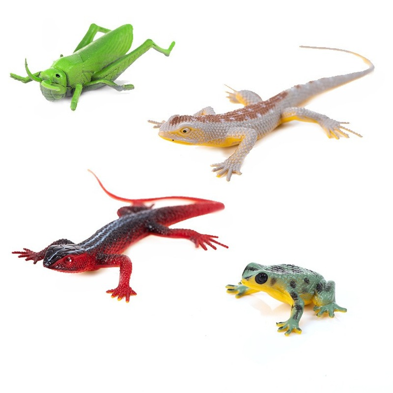 12 Plastic Insect Model Toys Wild Insect Lizard Fr... – Grandado
