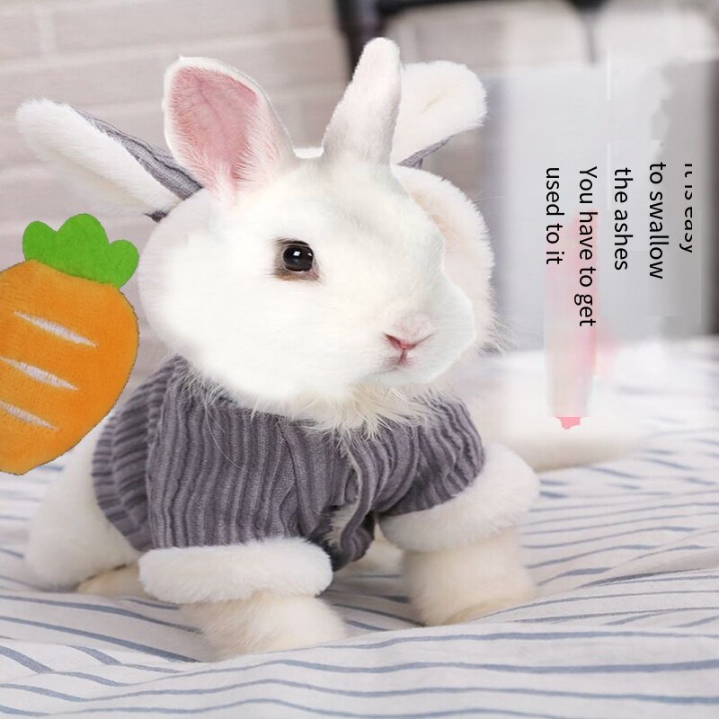 niedlich Hase Kleidung Herbst und Winter Dicke Plus Vlies Warme Kaninchen Kleidung Zwerg Kaninchen Kleine Haustier Kleidung Kleine Haustier Zubehör