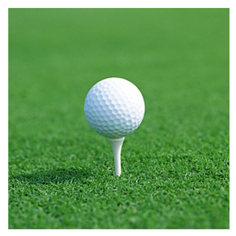 5pcs 3 Layer Golf Balls Outdoor Sports White Synthetic Rubber Golf Ball Indoor Outdoor Practice Training Golf Balls