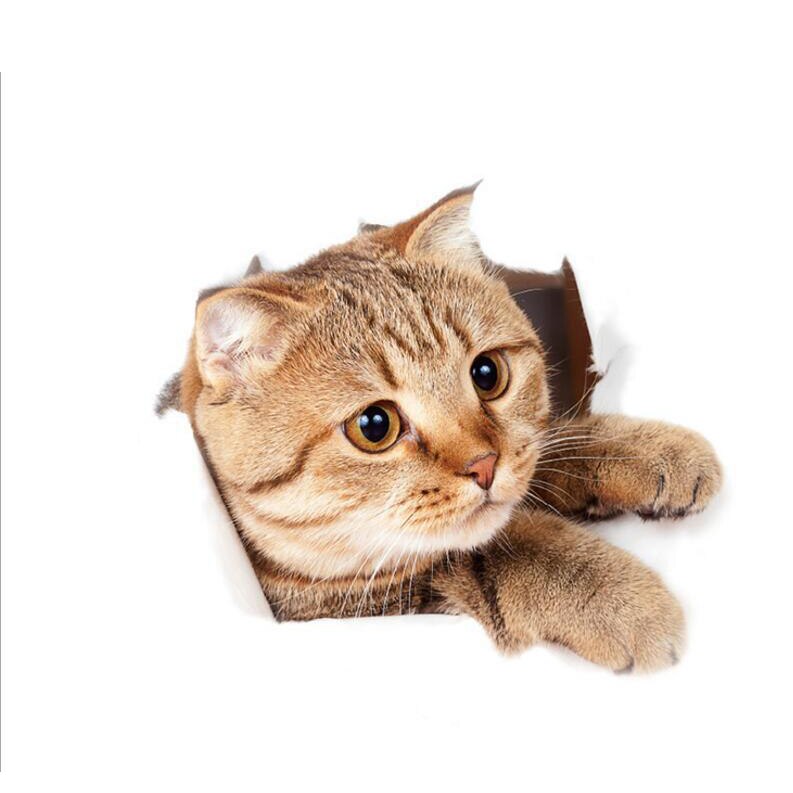 3D Cute Cat Stickers Car Home Bedroom Toilet Kitten Broken Wall Decor Sticker Vinyl Decal Realistic Funny Anima Stickers: 03