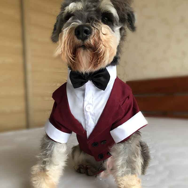 AHUAPET Tuxedo Dog Suit For Pug Clothes Large Clothes Jacket For Dog Tuxedo Costume Big Dogs Coat Stripes Clothes Pet Apparel