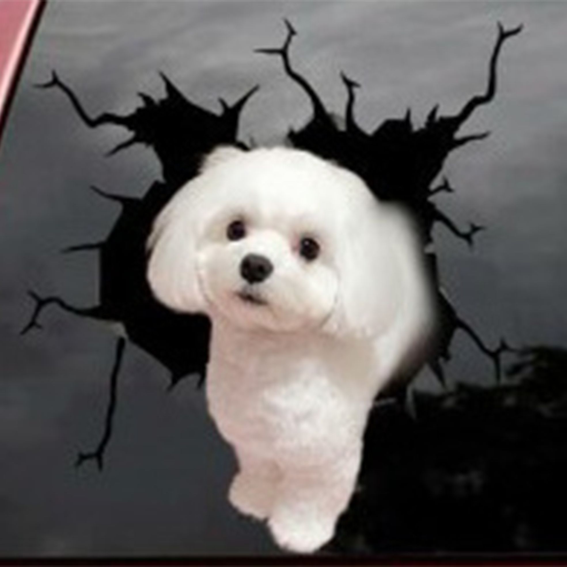 1Pc Auto Rear Window Stickers Puppy Gebroken Raams... – Grandado