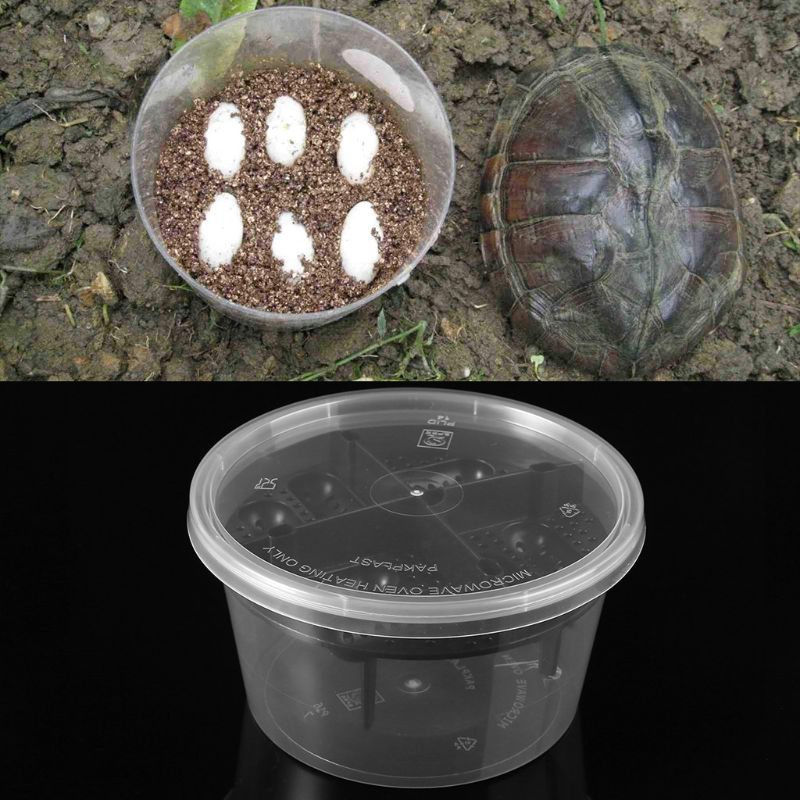 Reptile Egg Incubator Plastic Lizard Snake Gecko Eggs Hatcher Hatching Box aquarium