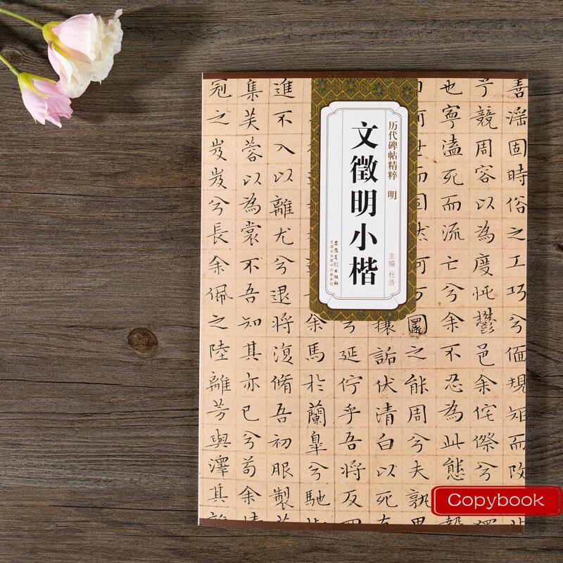 Cahier de calligraphie chinoise, petit cahier régulier, cahier à friction, écriture sur pierre, pratique de la calligraphie