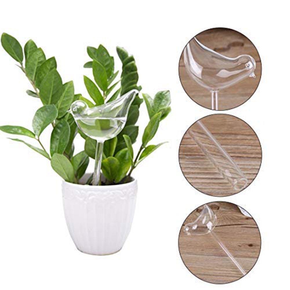 Protable Glass Plant Flowers Water Feeder Self Watering Bird Plant