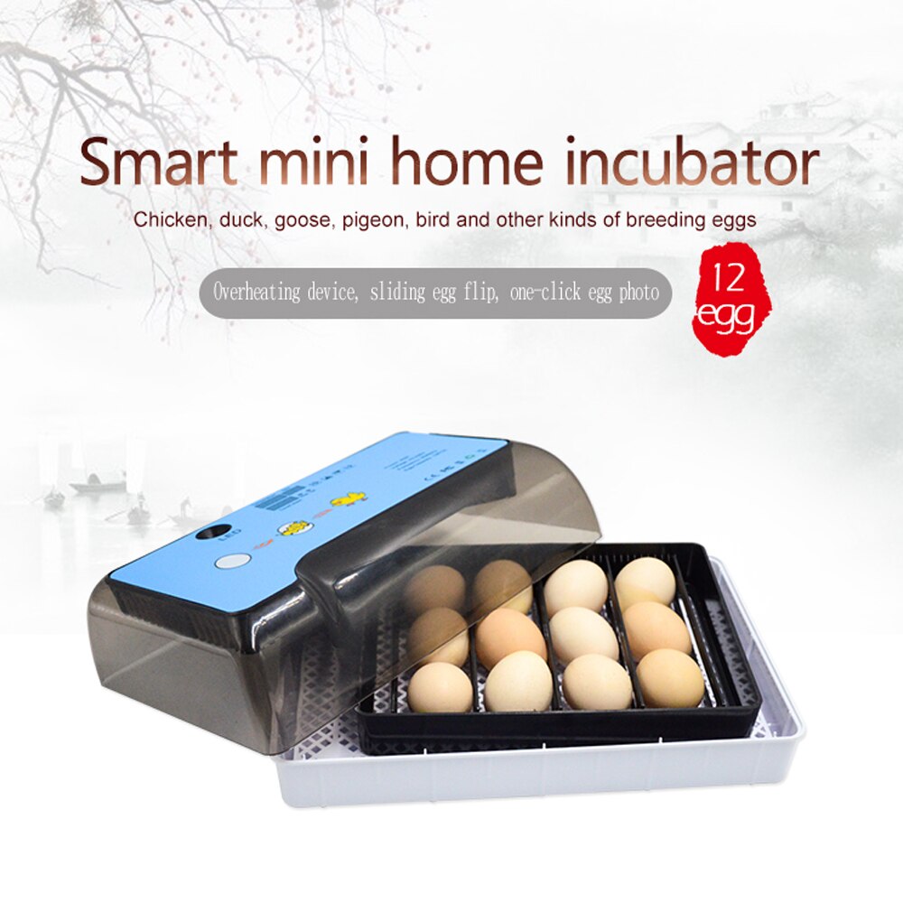 Huishoudelijke Incubator Volautomatische Ei-Turner 12 Eieren Broedmachine Met Led Testen Multifunctionele Eieren Lade Met Verstelbare Ruimte