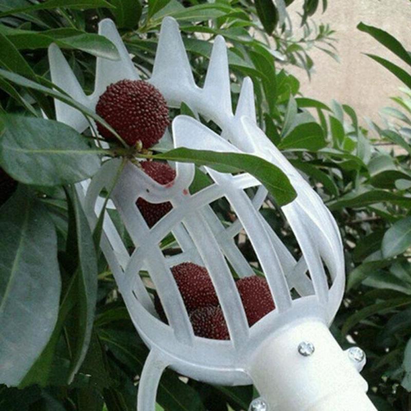 Fruit Picker Gardening Fruits Collection Picking Head Tool Fruit Catcher Device Greenhouse Fruit Picker Farm Garden Tools