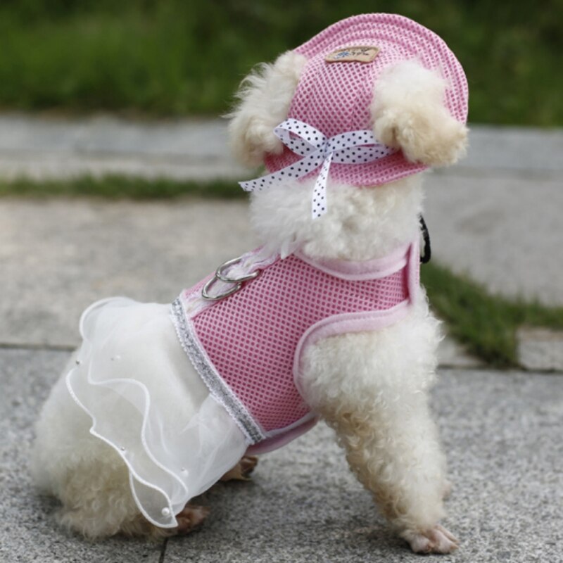 Casquette pour chien, en tissu d'été pour animaux de compagnie, en toile, chapeau de soleil respirant, en toile pour petit chien