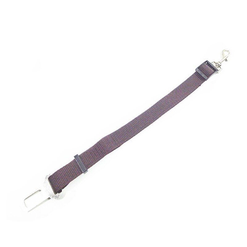 Huisdier Aangelijnd Kat Halsband Trekkabel Autogordel Intrekbare Nylon Materiaal Sterke Slijtvaste Huisdier Accessoires: C