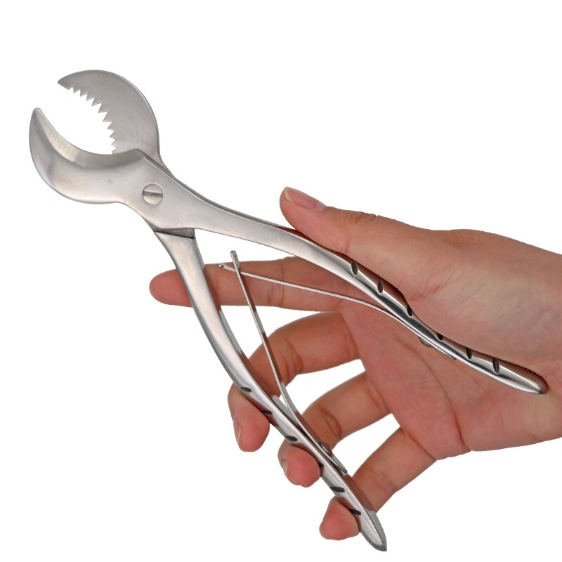 Dental Gips Scharen Scissiors Tandarts Lab Gereedschap Grote Roestvrijstalen Tang Instrument Gips Gips Schaar Materiaal