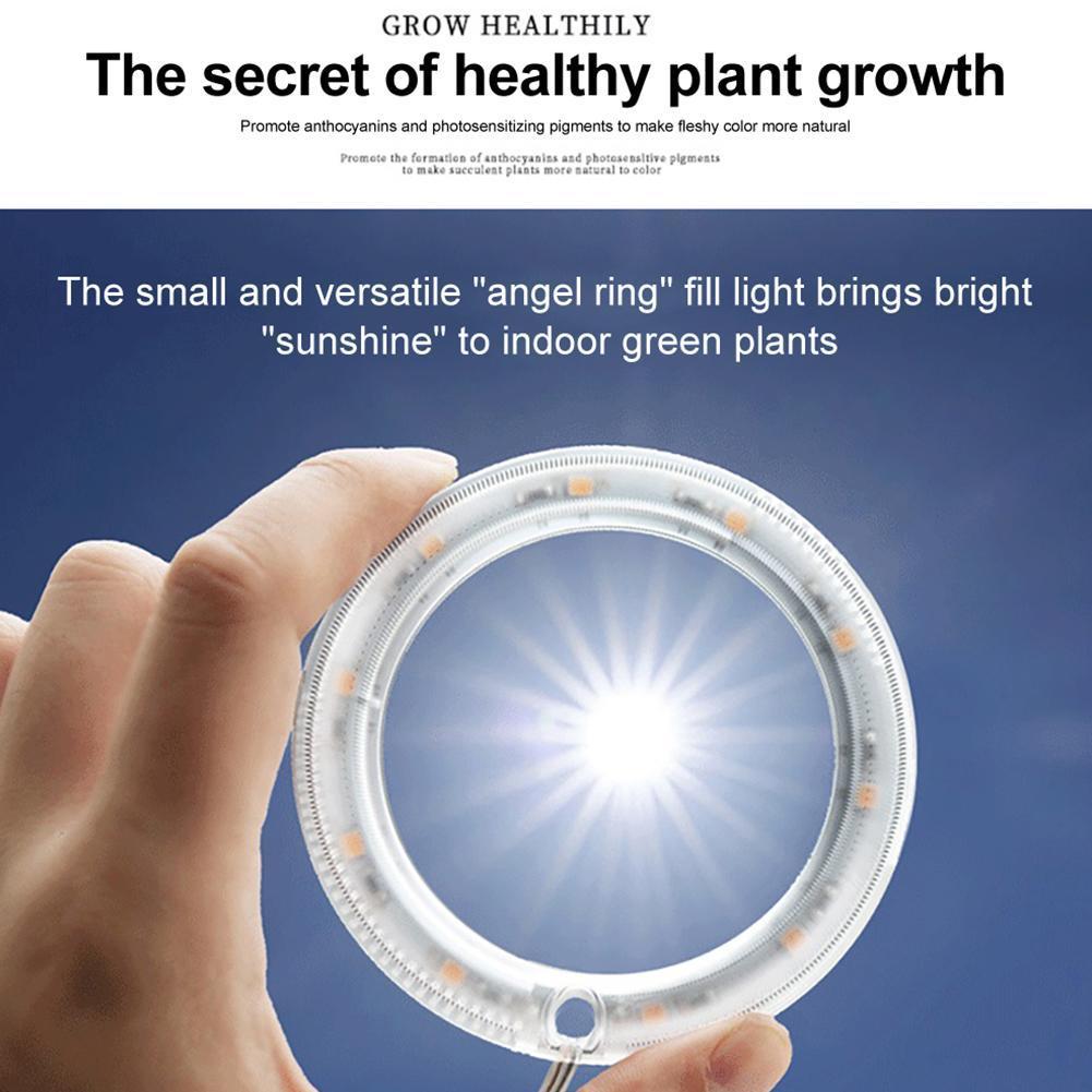 Led Grow Light Volledige Spectrum Phyto Groeien Lamp Usb Phytolamp Voor Planten Voor Planten Lamp 5V Voor Binnenverlichting plantengroei S3F5