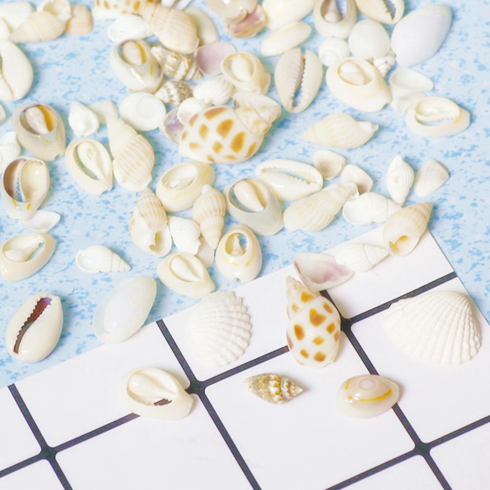 1 Bag Artifical Sea Shell Conch Coquillage Beach Decor Craft DIY Marine Style Fish Tank Seashells Cream Glue Epoxy Accessories