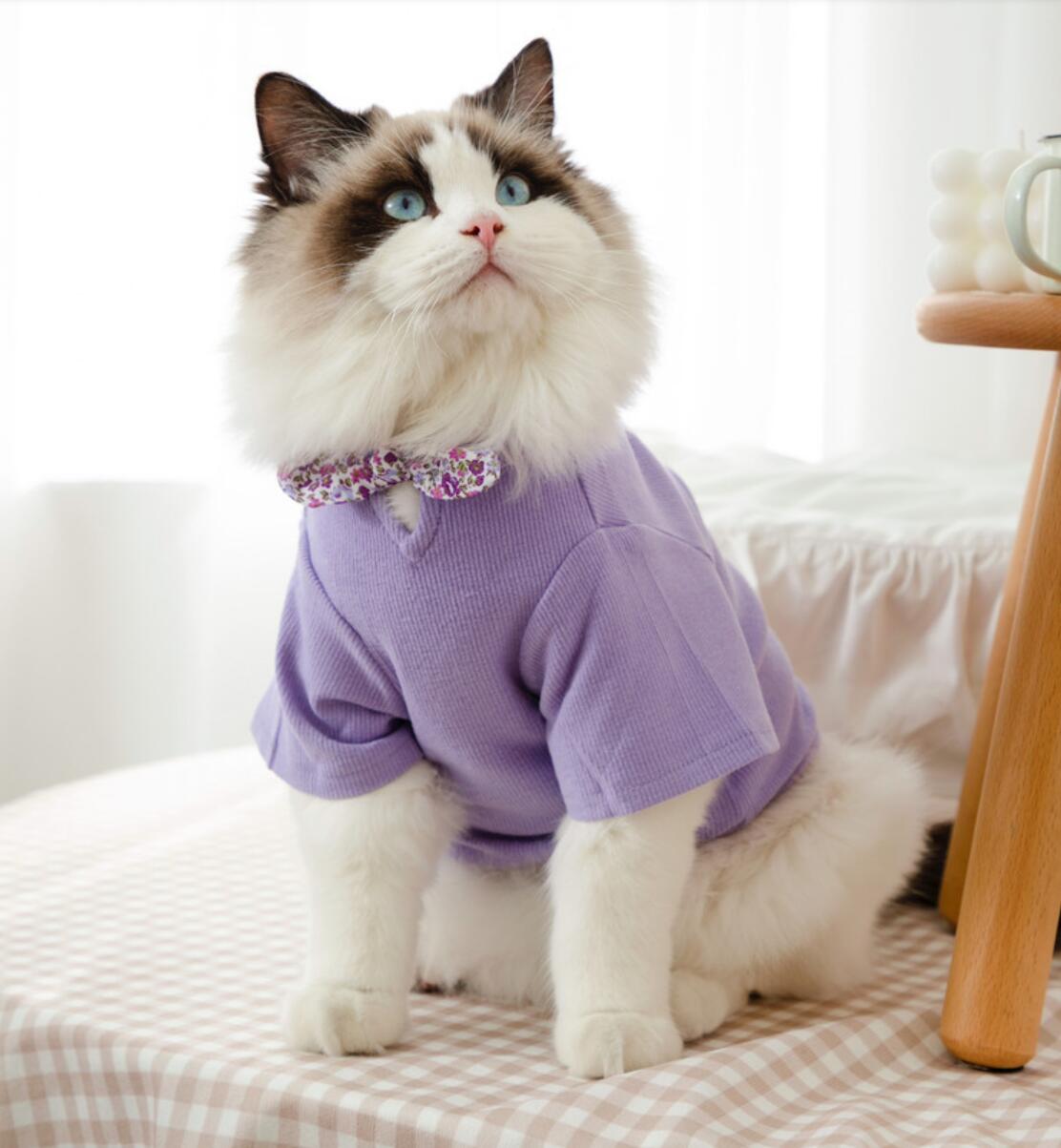 Pet Kleidung für Kleine Katzen Hunde Baumwolle Katze Kostüme Weichen Kätzchen Kitty Mantel Jacke Welpen Outfit: Lila / XL