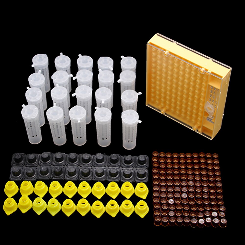 Kit système d&#39;élevage d&#39;abeilles reine, 1 ensemble, Cage cellulaire en plastique, couvercle de Protection, boîte de Base, tasse, fournitures pour Apiculture: Default Title