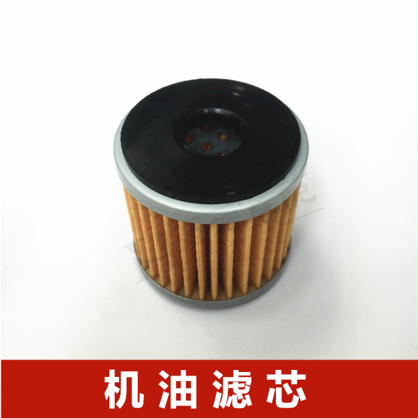 Filtro de aceite y filtro de aire para motocicleta, limpiador para Qianjiang QJmotor 1 cilindro SRK 250S 250SR 25R QJ250GS-29E/29F: Lavanda