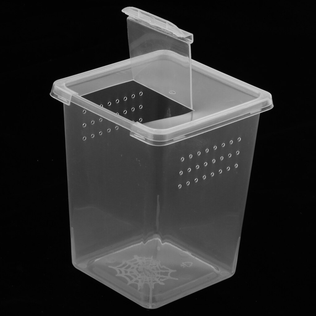 Plastic Insect Spider Habitat Feeding Box Cage Container Tank 3x3x4 inch