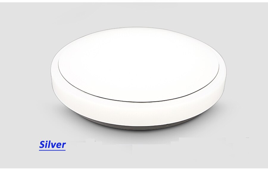 Plafond Led Verlichting Lampen Rc Dimbare Hebben Afstandsbediening Moderne Slaapkamer Woonkamer Lamp Opbouw Balkon Plafond: silver / 48W