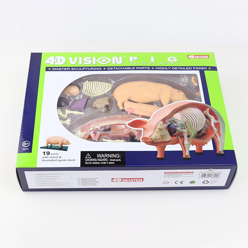 Simulatie dier pop 4d meester puzzel assemblage speelgoed wezen gevogelte kat hond paard varken haai walvis orgaan anatomie: Varken