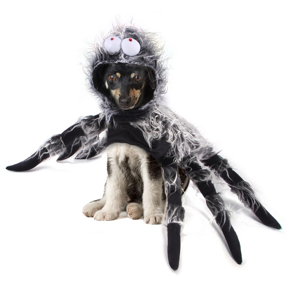 Disfraz de Halloween de perro Araña, Gato de Navidad, accesorios para