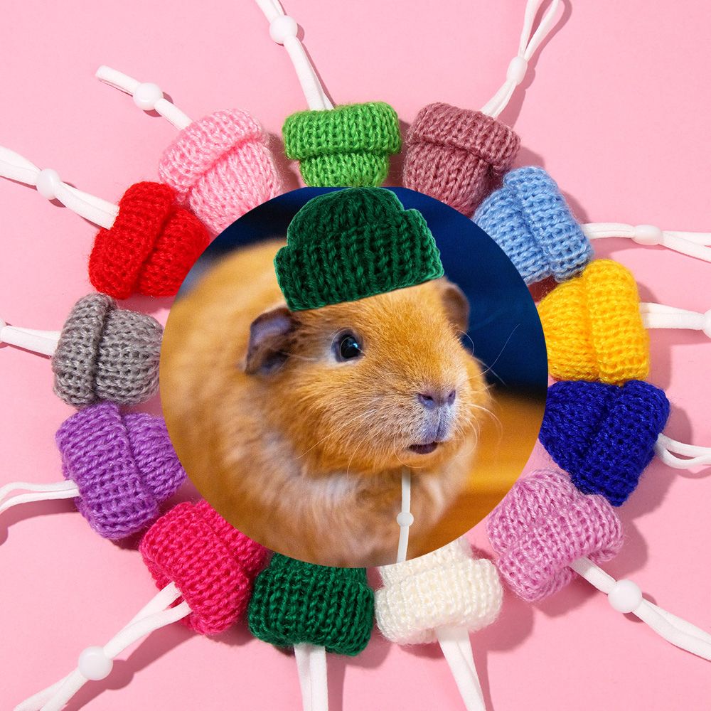 2 stk hamsterhat og marsvinhat lille dyredragt jakkesæt cosplay til rotter sugar glider chinchilla ilder pindsvin kæledyrshatte