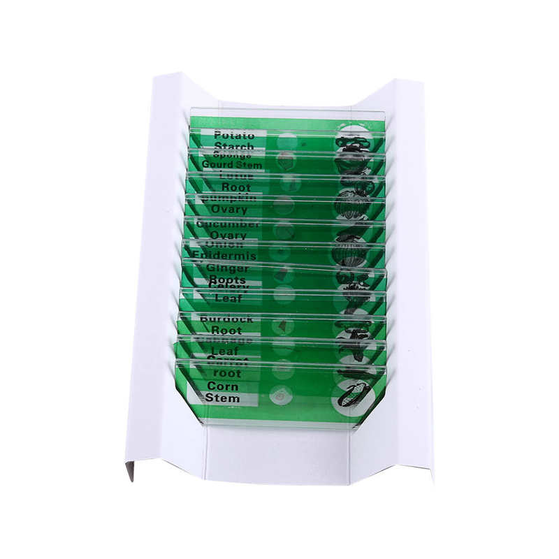 12pcs Plastic Prepared Microscope Slides Animals Insects Flowers Plants