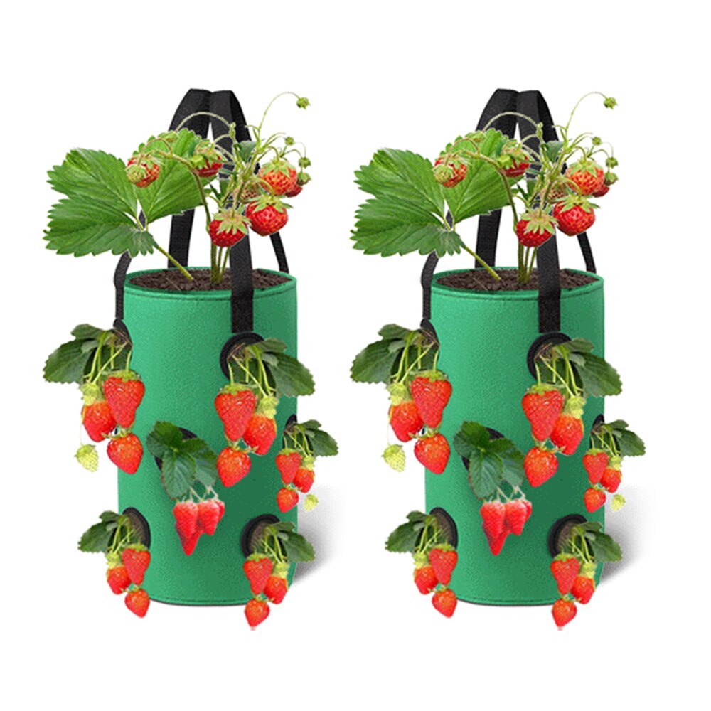 2Pcs 3 Gallons Strawberry Grow Bags for Plants Garden Pots Strawberry Bag Vertical Flower Herb Pouch Reusable Pot Planter Bags: green