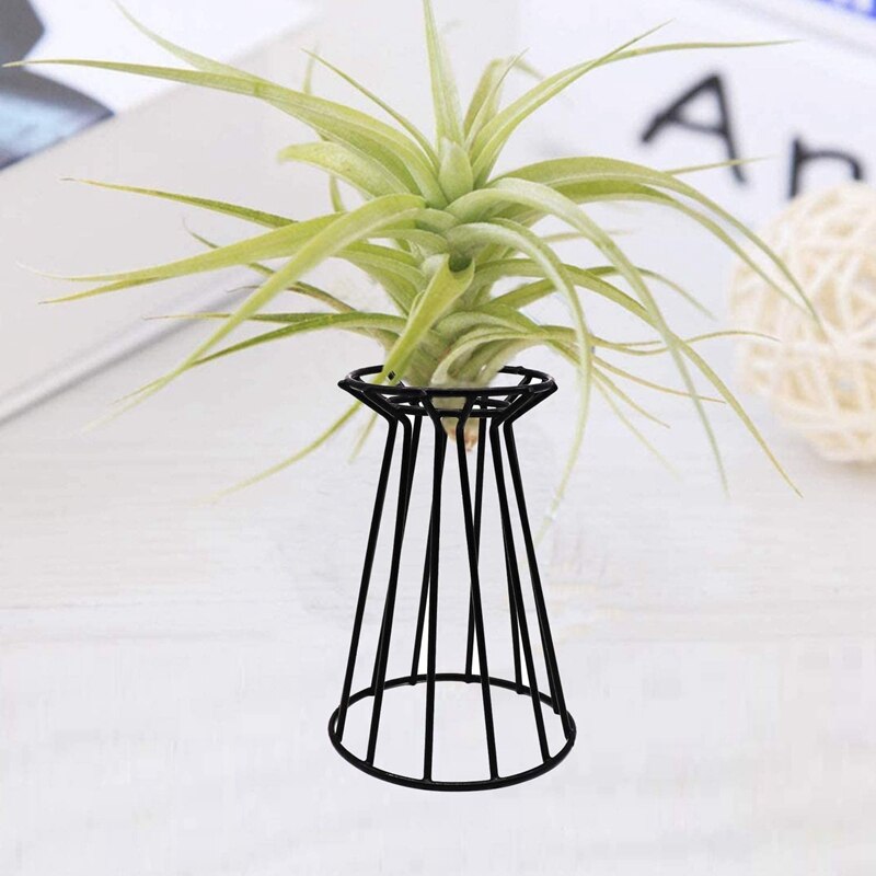 2 Metalen Air Plant Tillandsia Base Houder Tafelblad Streptophylla Air Plant Display Stand Rekken