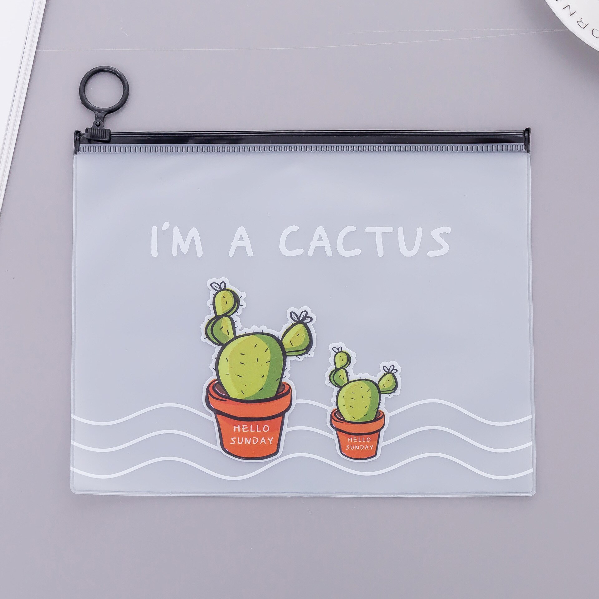 Pochette transparente à fermeture éclair Cactus en PVC A5, pour dossiers, documents, accessoires pour journal de voyage, rangement de cartes et billets: 3