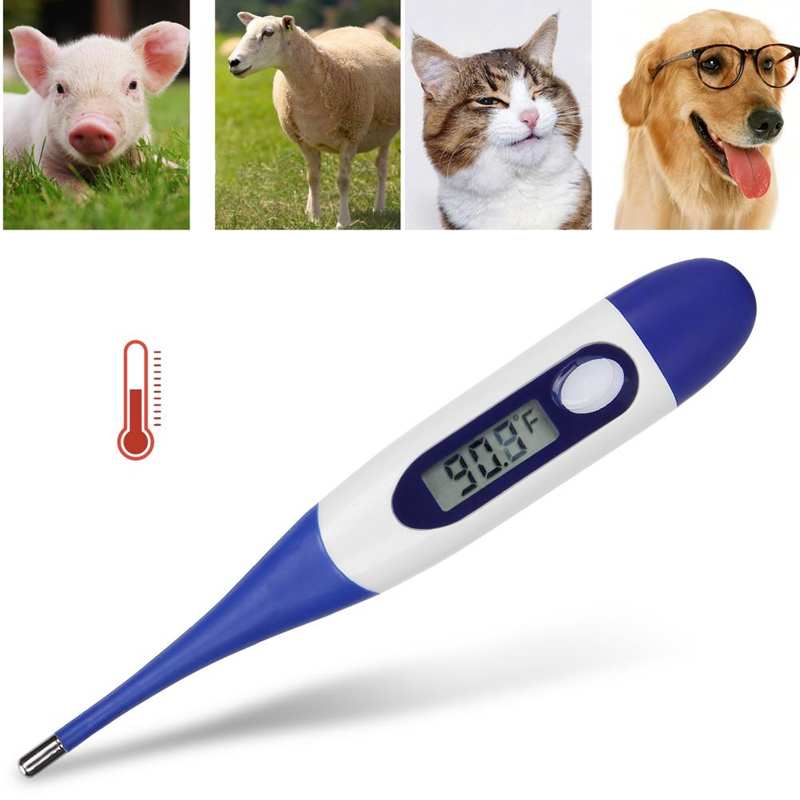 Farm Animal Feeding Eqipment Pet Livestock Thermometer Portable Pig Animal LED Display Thermometer drinking bowls