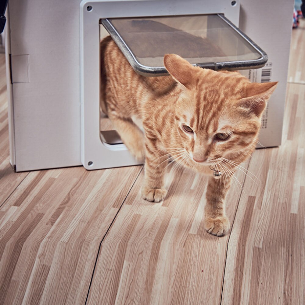 Control inteligente para puerta de gato, valla para puerta de Mascota, interruptor para puerta de perro y gato, Material plástico duradero, tamaño S, suministros para mascotas